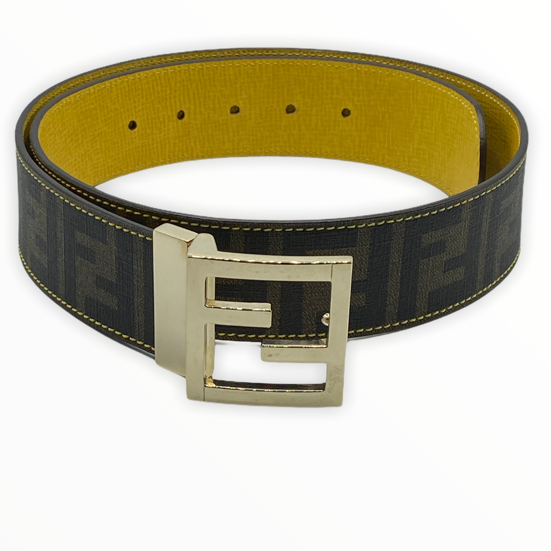 Colorful on sale fendi belt