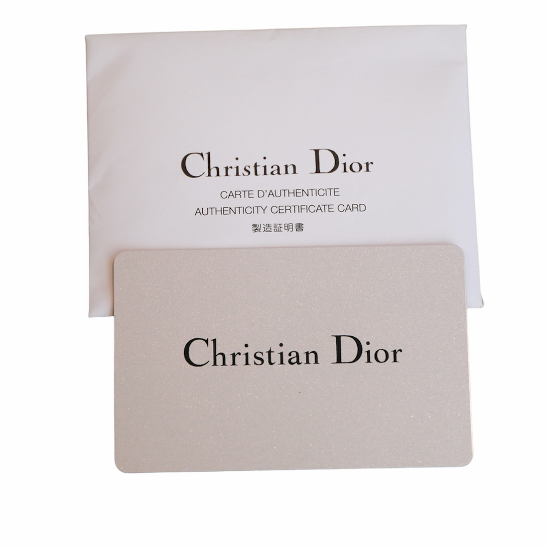 Christian Dior Karenina handbag
