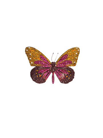 N.N. Bunte Haarspange in Schmetterlingform